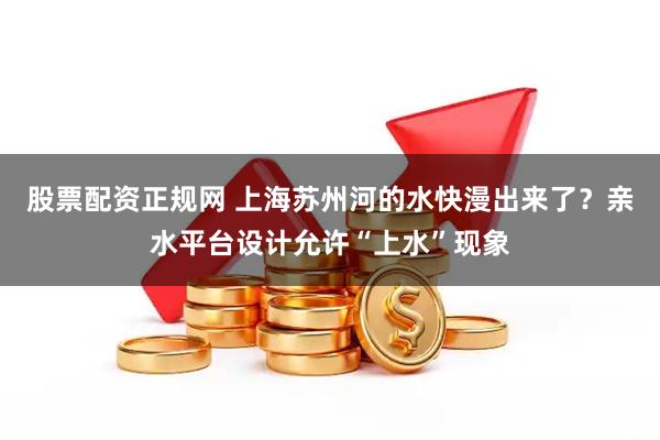 股票配资正规网 上海苏州河的水快漫出来了？亲水平台设计允许“上水”现象