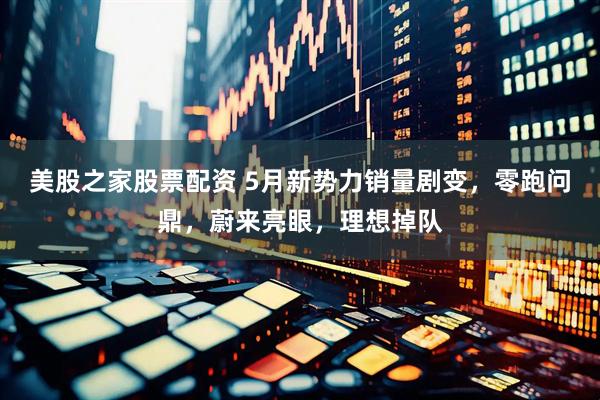 美股之家股票配资 5月新势力销量剧变，零跑问鼎，蔚来亮眼，理想掉队
