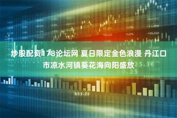 炒股配资178论坛网 夏日限定金色浪漫 丹江口市凉水河镇葵花海向阳盛放